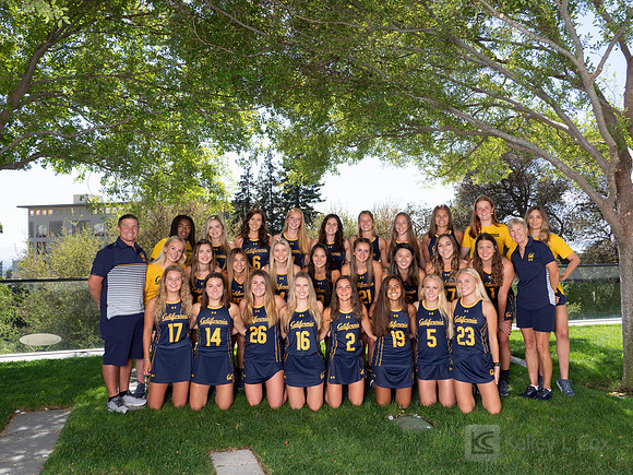 Team