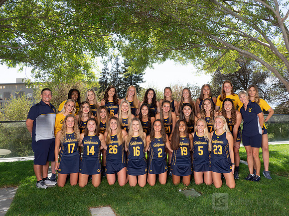 Team