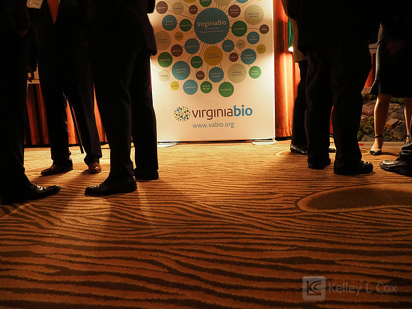 Virginia Bio