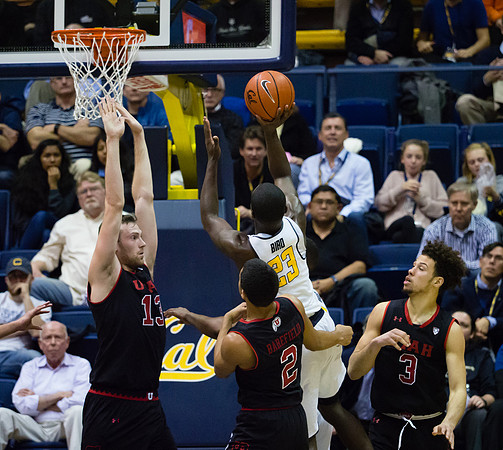 NCAA Basketball: Utah at California