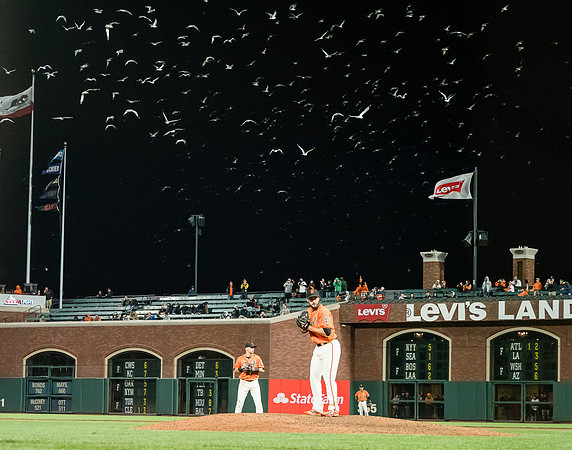 MLB: San Diego Padres at San Francisco Giants