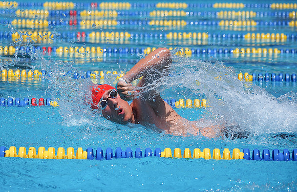 Special Olympics Northern California: Summer Games