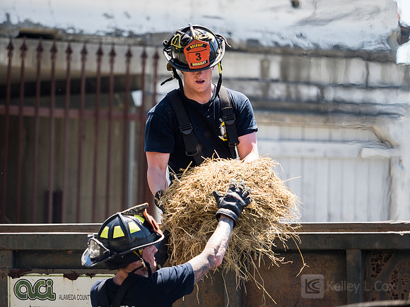 BFD Car Fire Training