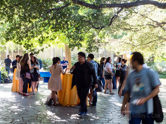 CAA: Senior Send Off