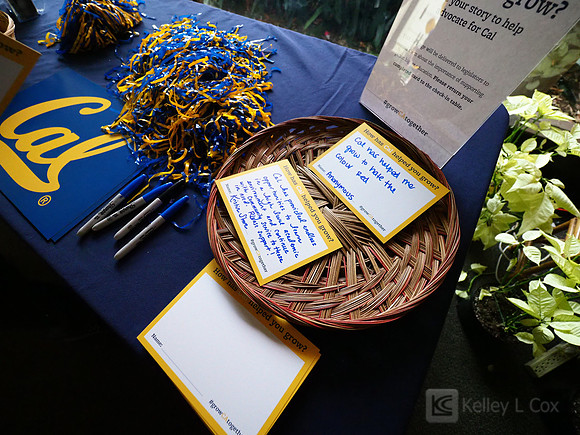 CAA: Women's Hoops Party