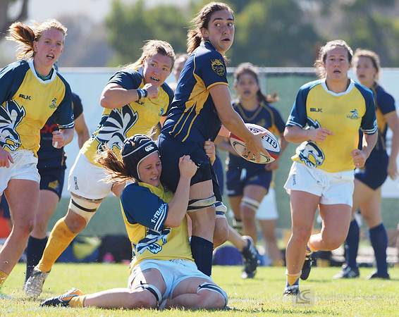 Womens Club Rugby: Glendale Raptors at Berkeley All Blues