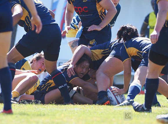 Womens Club Rugby: Glendale Raptors at Berkeley All Blues