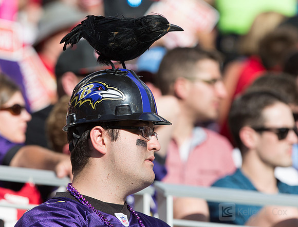 NFL: Baltimore Ravens at San Francisco 49ers