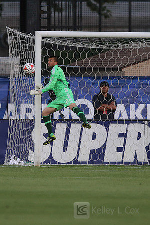 MLS: Houston Dynamo at San Jose Earthquakes