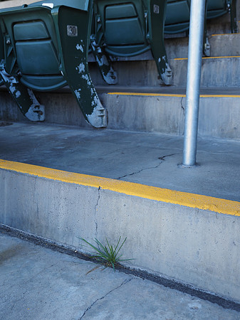 MLB: Texas Rangers at Oakland Athletics