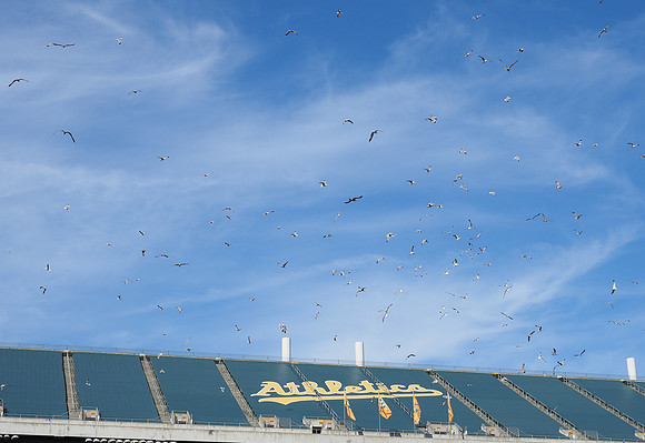 MLB: Houston Astros at Oakland Athletics