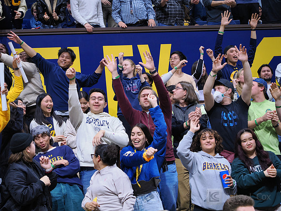Fans