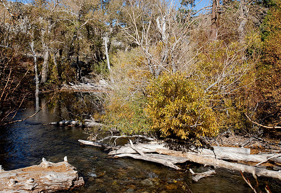 Eastern Sierras