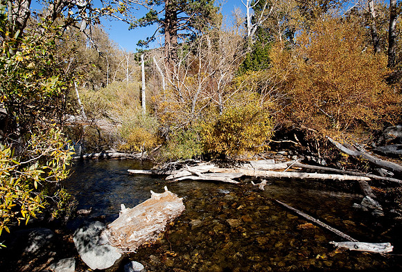 Eastern Sierras