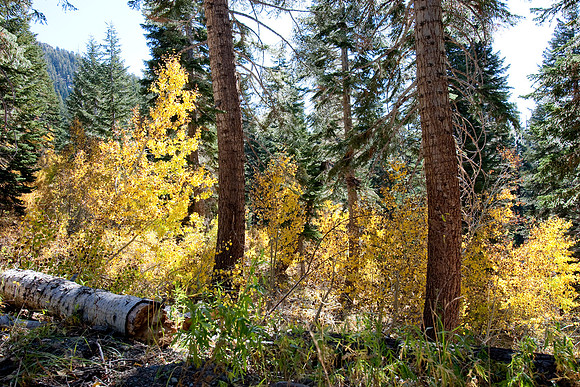 Eastern Sierras