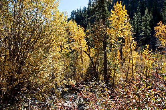 Eastern Sierras