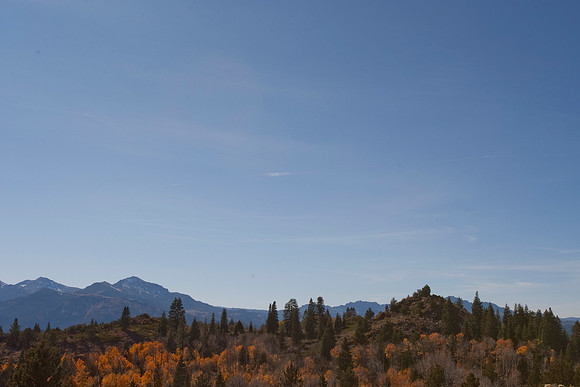 Eastern Sierras