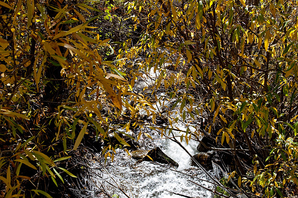 Eastern Sierras
