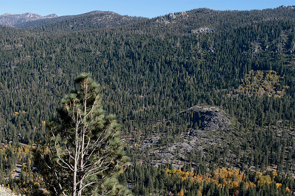 Eastern Sierras