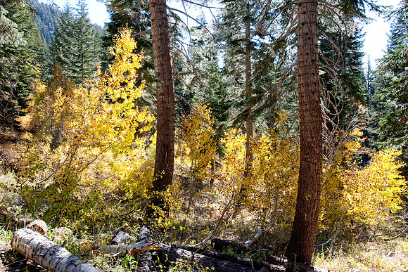 Eastern Sierras