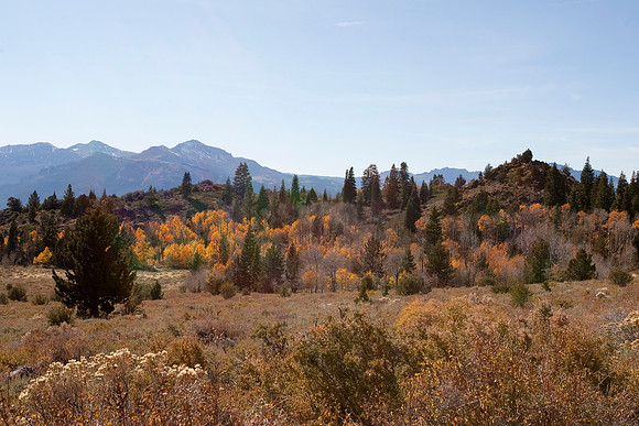 Eastern Sierras