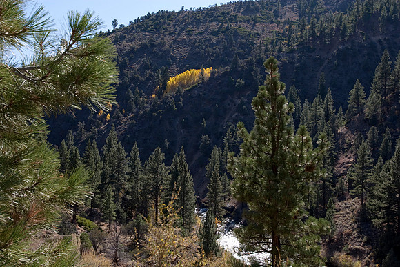 Eastern Sierras
