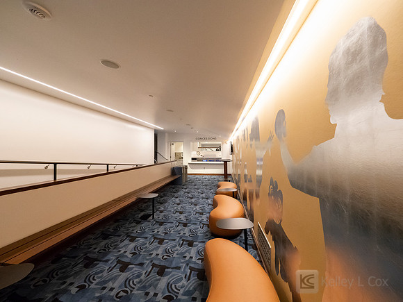 Frey Plastering: Presidio Theatre