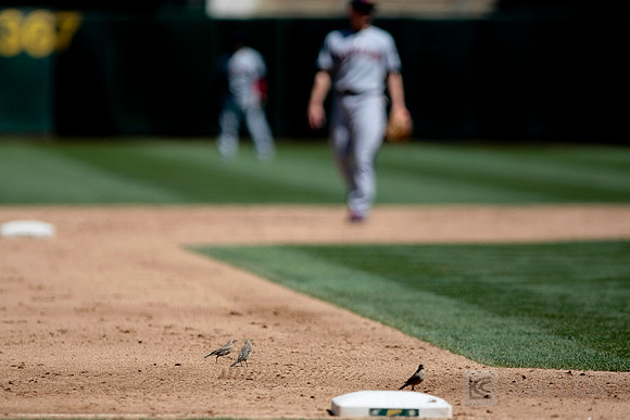 MLB: Cleveland Indians at Oakland Athletics