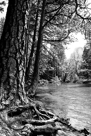 Yosemite 2011
