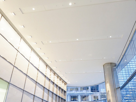 Anning-Johnson Company: Salesforce Tower