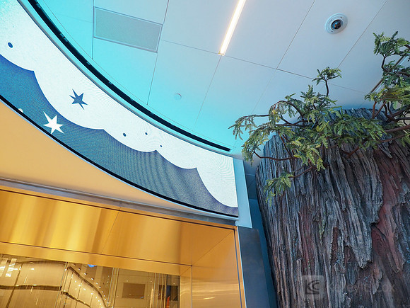 Anning-Johnson Company: Salesforce Tower