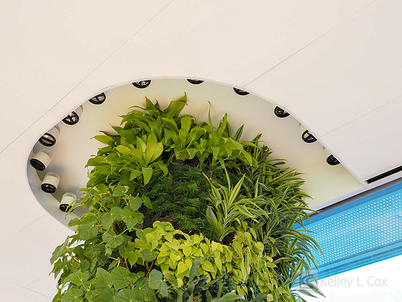 Anning-Johnson Company: Salesforce Tower