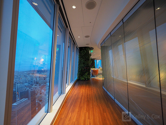 Anning-Johnson Company: Salesforce Tower