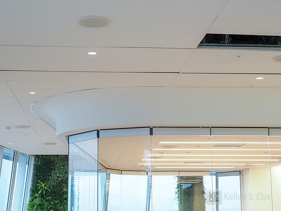 Anning-Johnson Company: Salesforce Tower
