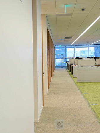 Anning-Johnson Company: Salesforce Tower