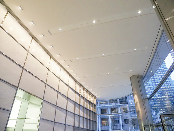 Anning-Johnson Company: Salesforce Tower