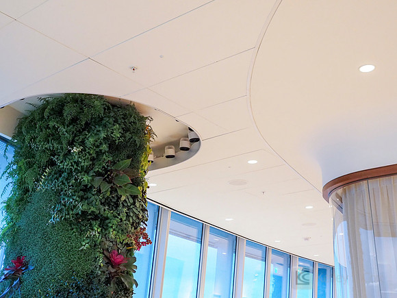 Anning-Johnson Company: Salesforce Tower