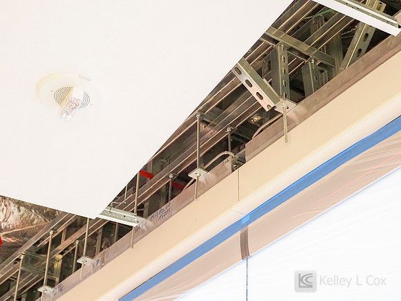 Anning-Johnson Company: Salesforce Tower