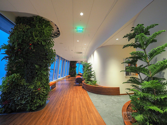 Anning-Johnson Company: Salesforce Tower