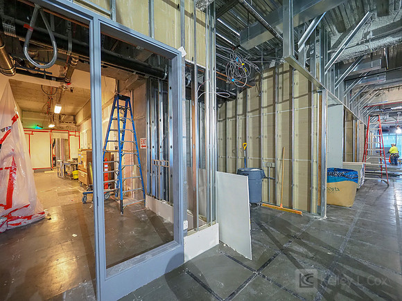 Anning-Johnson Company: Salesforce Tower