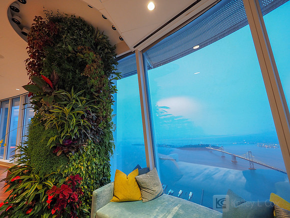 Anning-Johnson Company: Salesforce Tower