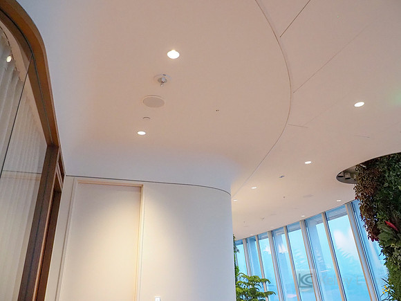Anning-Johnson Company: Salesforce Tower