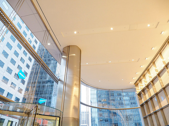 Anning-Johnson Company: Salesforce Tower