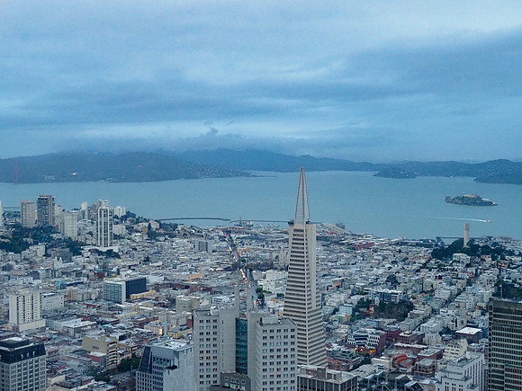 Anning-Johnson Company: Salesforce Tower