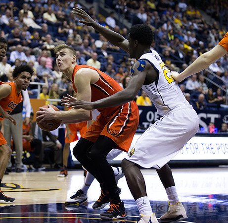 NCAA Basketball: Oregon State at California