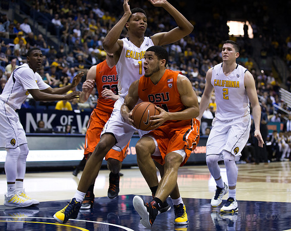 NCAA Basketball: Oregon State at California