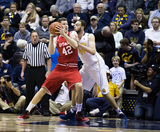 NCAA Basketball: Utah at California
