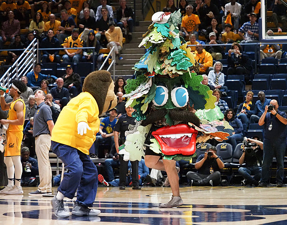 NCAA Basketball: Stanford at California