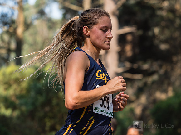 Ariane Arndt