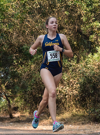 Meredith Corda